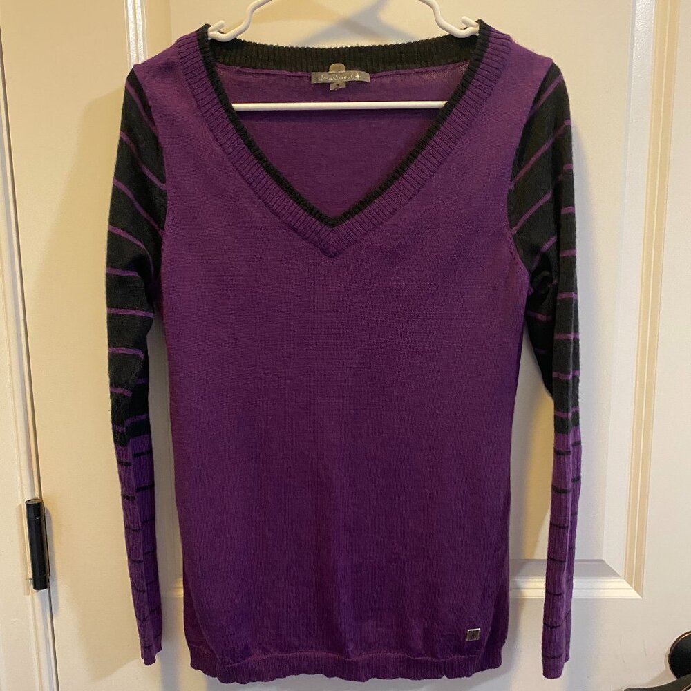 Smartwool VNeck Striped Sleeve Lightweight 100% Merino Wool Purple/Black Sweater